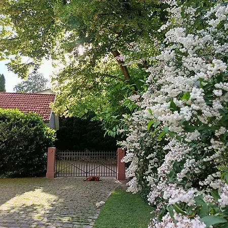 Bed & Breakfast Gruenes Gold Am Leisberg-3